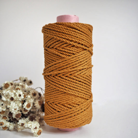 Mustard | 4mm Recycled Twisted Cotton Rope The Joyful Studio